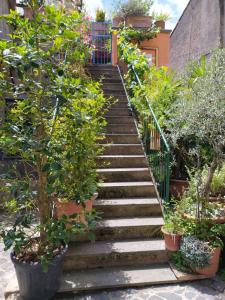 a set of stairs in a garden with plants at La Scaletta in Formello