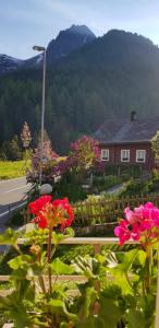 a house with pink flowers in front of a road at Gästehaus Alpenglühn in Meien