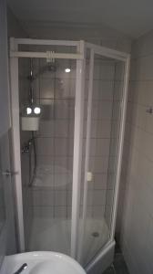 a shower with a glass door in a bathroom at Sandsteinperle in Reinhardtsdorf