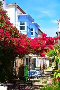 a bunch of pink flowers in front of a building at Rue d'Azur Alaçatı in Alacati