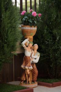 Hosté ubytování Casa Octaral