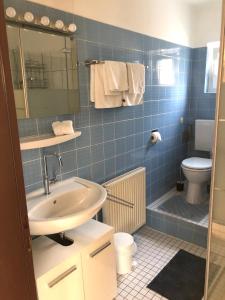 a bathroom with a sink and a toilet at Ferienwohnung Appartement in Rheinbrohl in Rheinbrohl