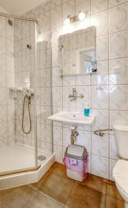 a bathroom with a shower and a sink and a toilet at Albatros in Władysławowo