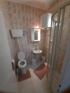 bagno con servizi igienici e lavandino di Apartman Casa Lux a Vrnjačka Banja