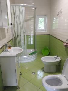 a green bathroom with a toilet and a sink at у Михайла in Truskavets
