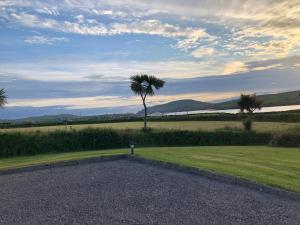 a palm tree in the middle of a field at Skellig Port Accommodation - 1 Studio Bed Apartment in Portmagee