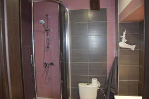 y baño con aseo y ducha con azulejos rosados. en Apartament Kolejowa, en Białystok