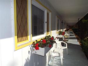 une rangée de chaises et de fleurs sur le côté du bâtiment dans l'établissement Yankee Trail Motel, à Holderness