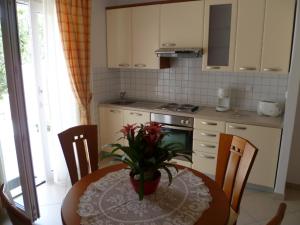 Кухня или мини-кухня в Apartments Mija
