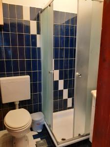 a bathroom with a toilet and a shower with blue tiles at Apartments Marija in Murine +16 photos