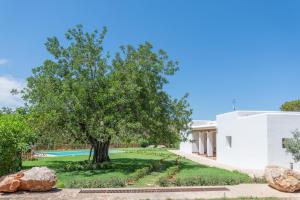 una casa blanca con un árbol y un patio en Casa rural es Murtà, en Santa Eulària des Riu