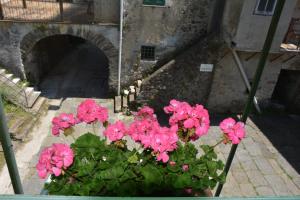 a pot of pink flowers in front of a tunnel at Agriturismo Ghirlanda Norma Rita in Carrodano Inferiore