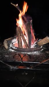 a fire is burning in an oven with flames at Sossego Da Mata in Santo Antônio do Leite