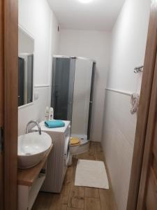 a bathroom with a shower and a sink and a toilet at Leśny Apartament II in Szczytno