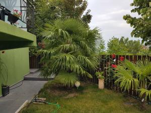 A garden outside Aheloy Apartments