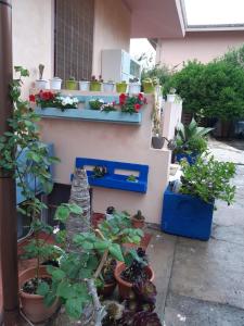 a garden with potted plants and a blue bench at Casa Vacanza Su bonu Acatu in Càbras