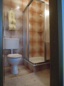 a bathroom with a toilet and a glass shower at Haus Tasser in San Lorenzo di Sebato