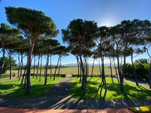 Borgo Bernabei في Buriano: اطلالة على حديقة فيها اشجار في العشب