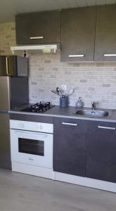 a kitchen with a sink and a stove at Le Chal Adret in Cardonville