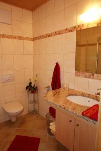 a bathroom with a sink and a toilet at Gasthof zur Donaubrücke in Ardagger Markt