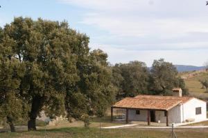 un pequeño edificio blanco con un árbol al lado en Apartamentos Rurales Escobar & Jerez, en Valencia de Alcántara