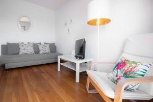TV a/nebo společenská místnost v ubytování Modern Apartment with Spacious Terrace