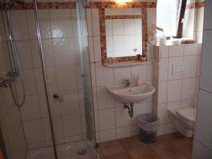 a bathroom with a shower and a sink and a toilet at Gasthof zur Donaubrücke in Ardagger Markt