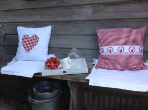 einen Tisch mit zwei Kissen und ein Tablett mit Erdbeeren in der Unterkunft Ferienwohnung Casa Natura in Reichelsheim