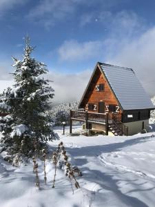 a log cabin in the snow with a christmas tree at Camurac-Chalet les Dalmatiens in Camurac