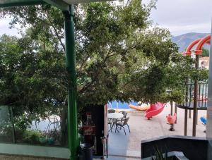 Príroda v okolí hotela