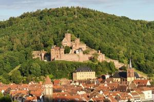 a castle on top of a hill with a town at Ferienwohnung 'Burgblick' in Wertheim