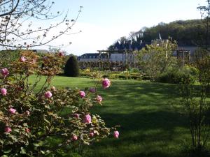 un jardin avec des roses roses dans l'herbe dans l'établissement Le Petit Villandry, à Villandry
