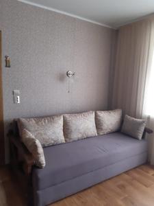 a couch in a living room with a window at Однокімнатна in Shepetivka