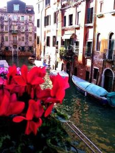 a view of a canal with buildings and red flowers at Cà Dolce in Venice