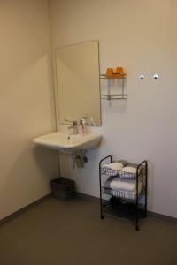 een badkamer met een wastafel, een spiegel en een handdoekenrek bij Joker Bø in Bø i Vesterålen