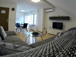 TV a/nebo společenská místnost v ubytování Holiday Apartment Lavanda Sumpetar + 11 fotografií