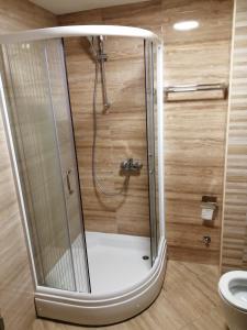 a shower with a glass door in a bathroom at Apartman Tedi in Zlatibor
