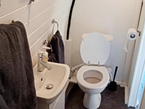 a bathroom with a toilet and a sink at Wee Hoose Glaping Pod 2 in Skail