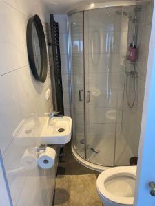 a bathroom with a shower and a sink and a toilet at Mara's Place in Zandvoort +6 photos