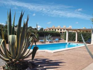 a cactus in front of a swimming pool at Casa Susanna in Campos