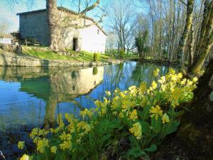 a pond with yellow flowers in front of a building at Le Petit Moulin Tournesol BnB in Sainte-Soline
