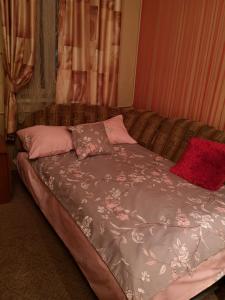 リヴィウにあるСozy apartment on Leontovichaのピンクの枕が付いたベッド