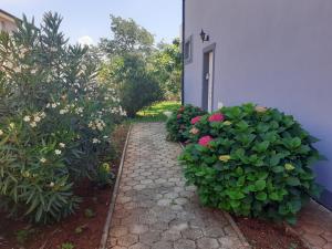 Zahrada ubytování Bed and breakfast Julia