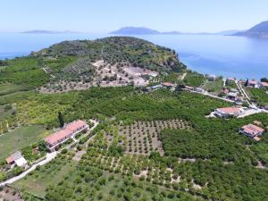 Gallery image of Το Είδωλον in Ancient Epidavros