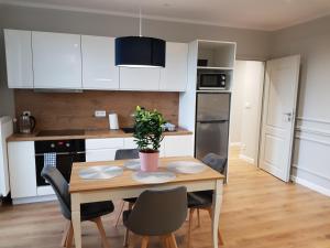 Kuchyň nebo kuchyňský kout v ubytování Apartament Tarnovianka - Centrum
