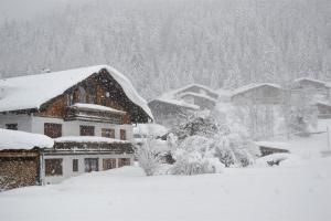 施特格的住宿－Ferienwohnungen Anja，雪暴下雪覆盖的房子