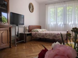 TV a/nebo společenská místnost v ubytování Apartment LANKA