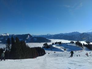 Wildente am See talvel
