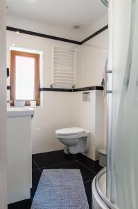 a bathroom with a toilet and a sink and a window at Domki Pod Czarnym Groniem in Rzyki