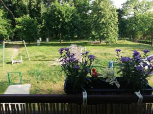 Ogród w obiekcie Apartament pod Morwą